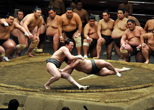 How to See a Sumo Match in Japan