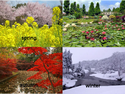 Japanese Year In Sync With The Seasons