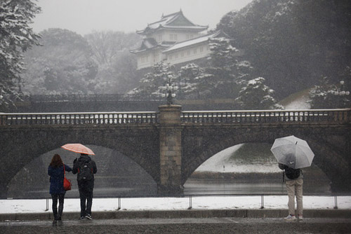 Tokyo Weather and Climate Conditions