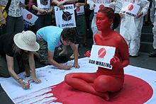 Anti-whaling protester in Melbourne, Australia, 2007