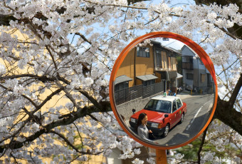 A women walking in front of a red taxi is reflected in a traffic mirror that is standing below a cherry blossom tree in full bloom. Philosopher's Walk Path, Kyoto, Japan