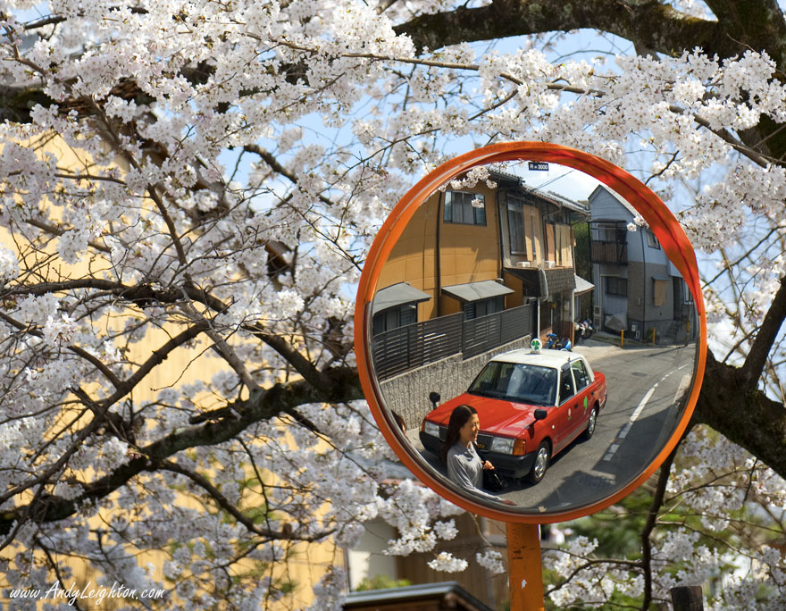 A women walking in front of a red taxi is reflected in a traffic mirror that is standing below a cherry blossom tree in full bloom. Philosopher's Walk Path, Kyoto, Japan