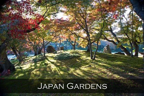 Beautiful Japanese Maple autumn colours in Okayama's famous Korakuen Gardens, Japan