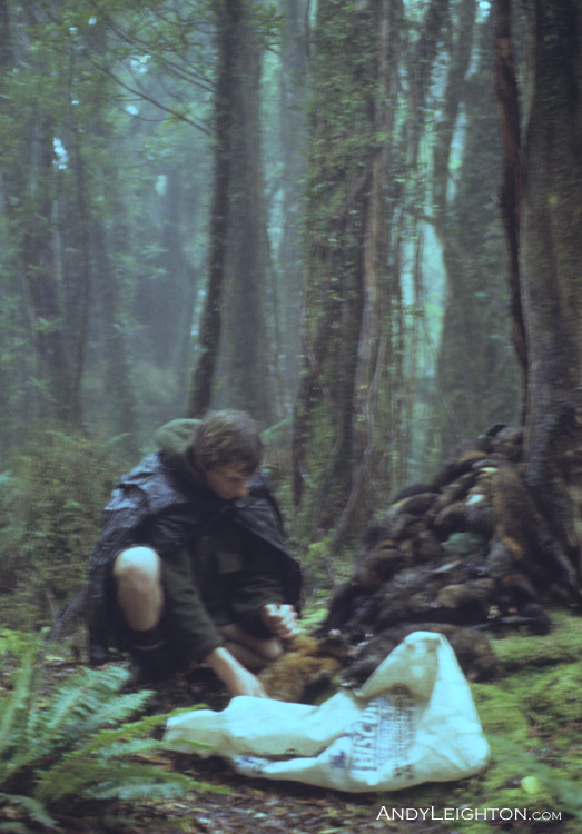 Skinning possums along a cyanide bait line. Often this work is done in very remote areas and under all weather conditions, working here in the misty rain with a few dozen pelts beside the tree. Westland, New Zealand. Andy Leighton